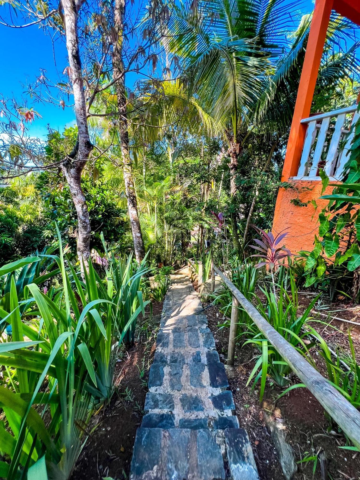 Hostel Zen - Casa Na Floresta Itacaré Εξωτερικό φωτογραφία